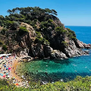 encantador-apartamento-en-tossa-de-mar.catalonia-hotels.com/