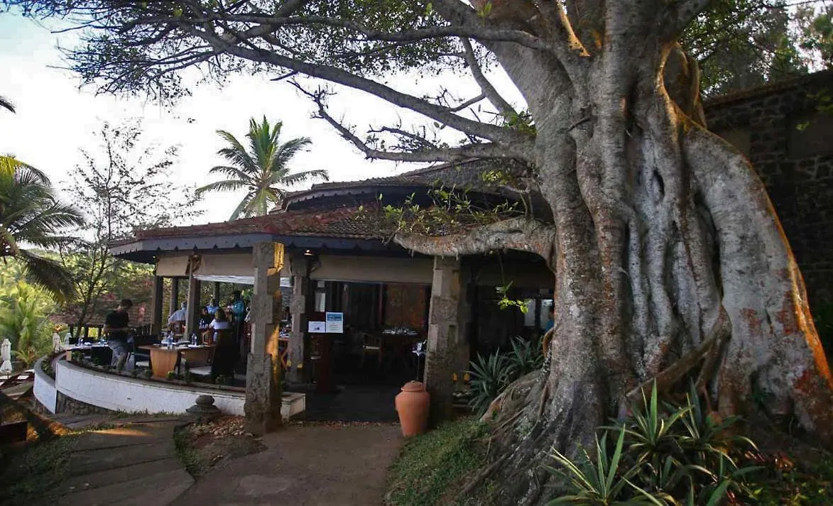 Niraamaya Wellness Retreats, Surya Samudra, Kovalam Resort