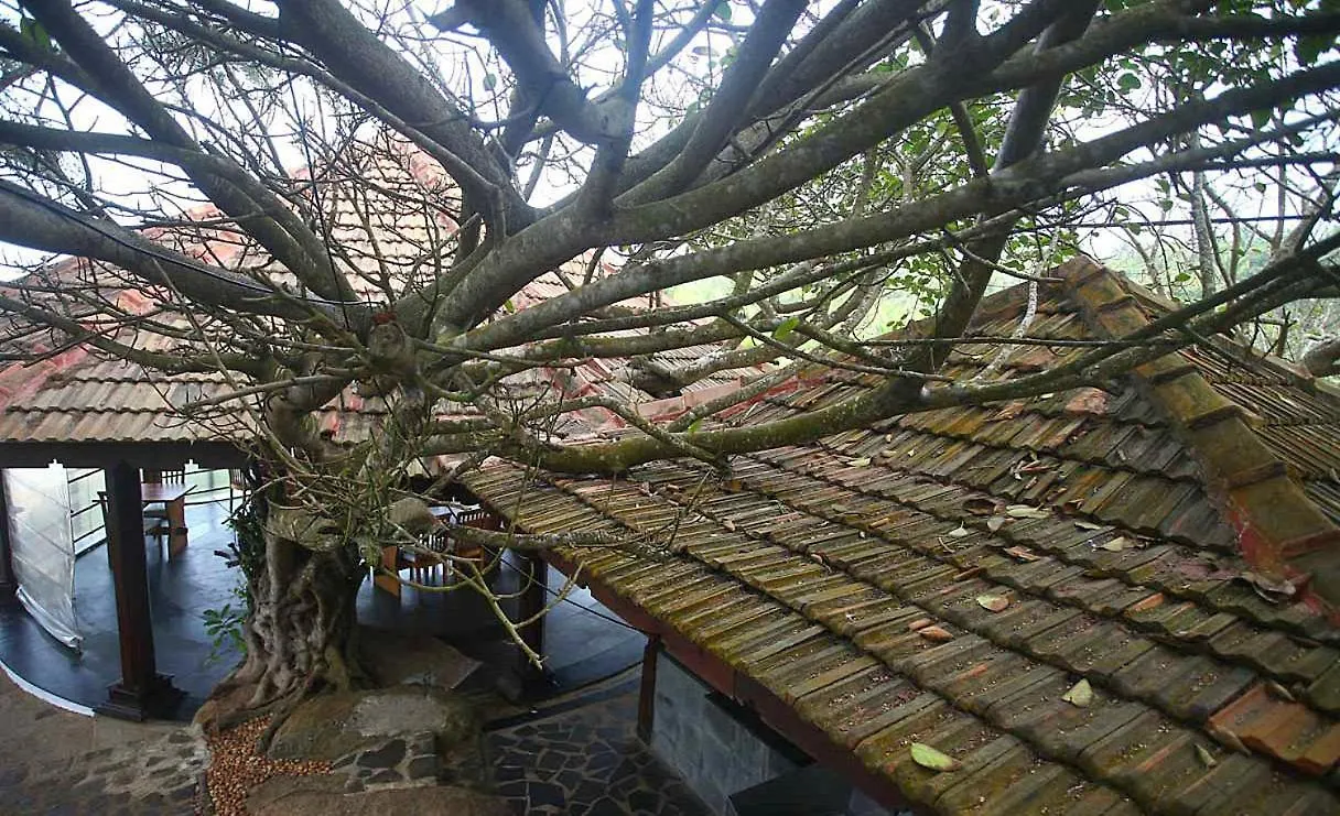 Resort Niraamaya Wellness Retreats, Surya Samudra, Kovalam