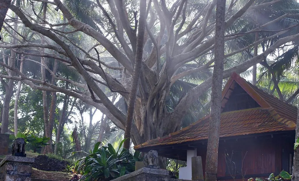 Niraamaya Wellness Retreats, Surya Samudra, Kovalam