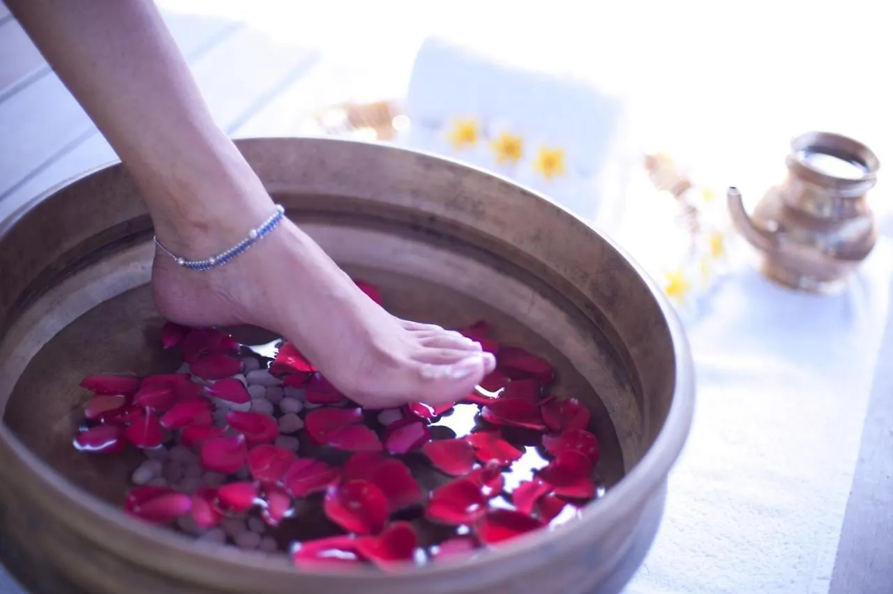 Resort Niraamaya Wellness Retreats, Surya Samudra, Kovalam